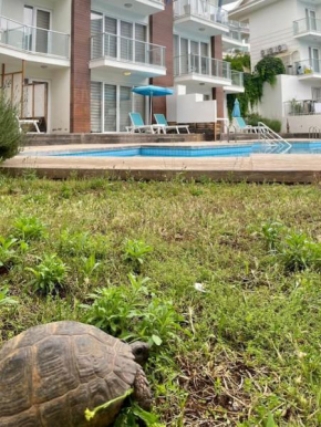 Lovely 2- Bedroom Dublex Rental Unit With Pool